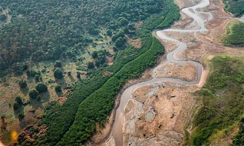 Crescimento da Crise Climática na Amazônia