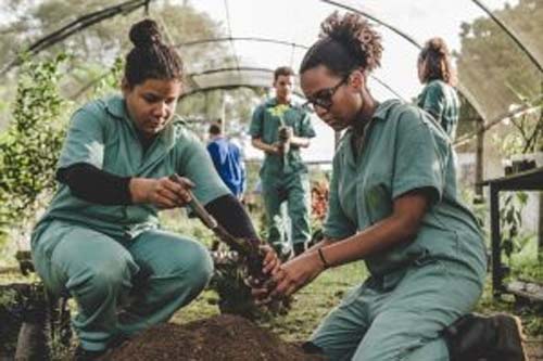 Concurso do MEC Incentiva Educação Profissional para uma Economia Sustentável