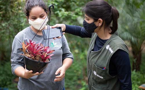 Senar abre seleção para cursos técnicos em agronegócio, fruticultura e zootecnia