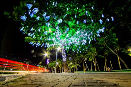 Decoração natalina de Maceió é reduzida em 40% para evitar aglomerações