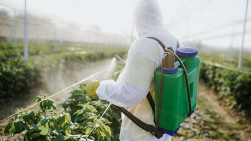 Por alta toxibilidade, justiça suspende 63 defensivos liberados pelo Mapa