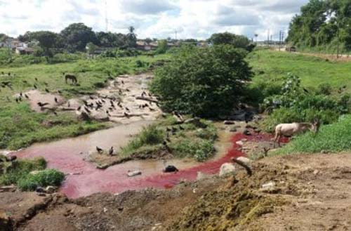 Matadouro Público de São José da Laje é interditado após fiscalização