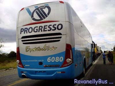 Ônibus com 34 passageiros é assaltado na BR-423 em Inhapi