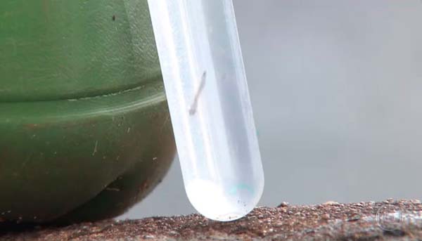 Casos de dengue avançam no país e deixam três estados em alerta