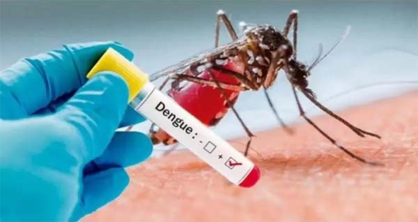 Alerta: Alagoas pode ter surto de dengue em 2020