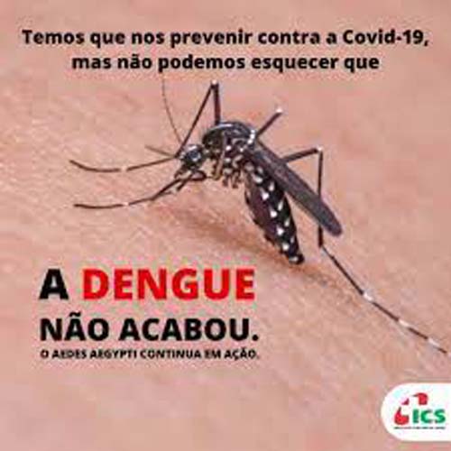 Dengue: casos passam de 2.215 para 6.357 em Alagoas