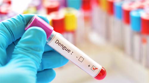 Infectologista responde às principais dúvidas sobre a Dengue