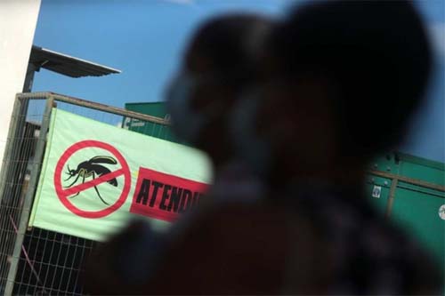 DF chega a 177 mil casos de dengue e 188 óbitos, segundo boletim da Saúde