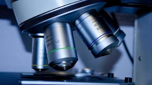 Neurocientista brasileiro estuda relação entre obesidade e depressão