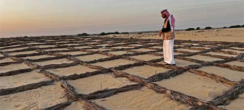 No Dia Mundial da Desertificação e da Seca, ONU cobra ação urgente e defende oportunidades para jovens em áreas rurais