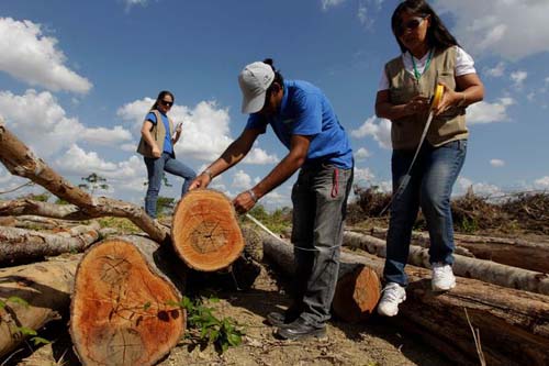 Com extinção do Fundo Amazônia, 'direito de desmatar' avança no Brasil