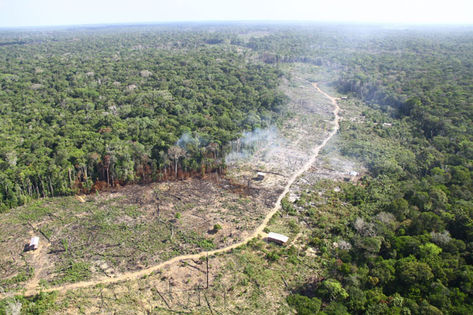Em junho de 2013, desmatamento aumenta 437% na Amazônia