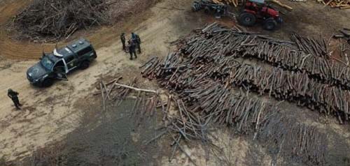 BNDES bloqueia financiamento a 58 proprietários rurais que desmataram