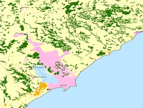 Alagoas é o oitavo estado em desmatamento de Mata Atlântica