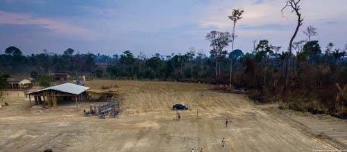 Estudo: desmatamento na Amazônia não traz progresso social