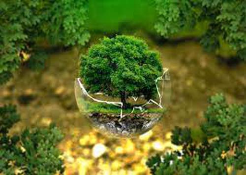 Dia Mundial do Meio Ambiente