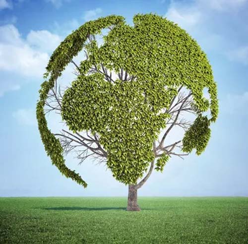 05 de Junho — Dia Mundial do Meio Ambiente