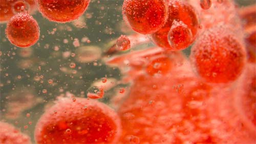 Já ouviu falar da dieta Portfólio? Ajuda a baixar os níveis de colesterol