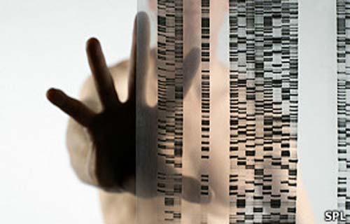 Milhares de doenças podem ser identificadas por exames de DNA
