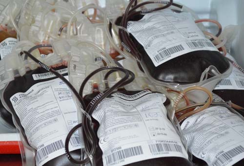 Em estado crítico, Hemoal tem só 20% do estoque mínimo de sangue