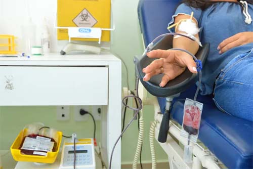 Confira como será o funcionamento do Hemoal no Feriadão do Réveillon