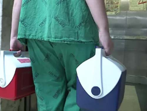 Doação de órgãos: famílias devem conversar sobre o assunto