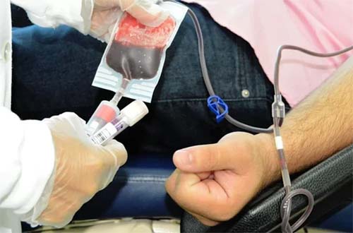 Hemoal tem apenas 30% da reserva mínima de sangue; veja como doar