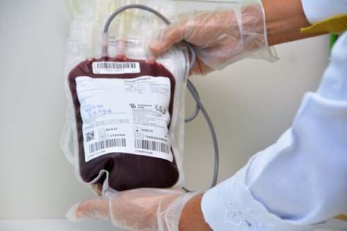 Hemoal inicia Semana do Doador de Sangue com campanha para aumentar o estoque