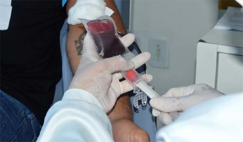 Hemoal leva equipes itinerantes para  recolher sangue em Arapiraca e União dos Palmares
