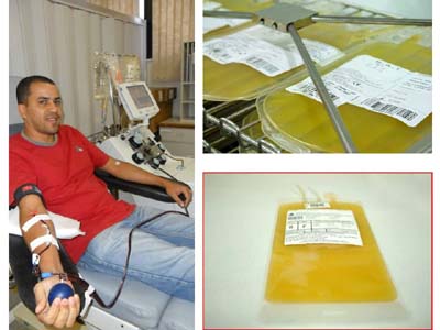 Hemoal necessita de doadores de plaquetas por aférese