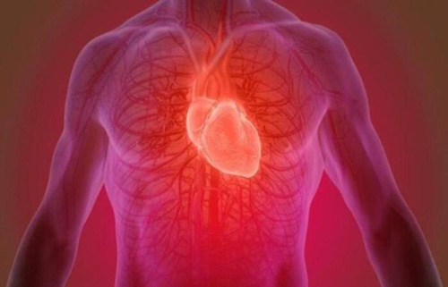 Mortes por doenças cardiovasculares cresceram até 71% durante a pandemia no Recife