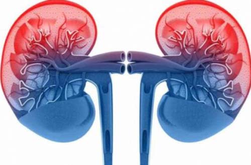 Estão abertas as inscrições para o curso de capacitação sobre cuidados com pacientes renais