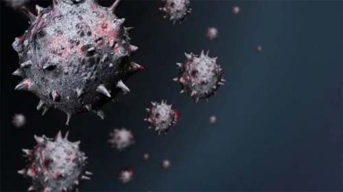 Retrospectiva 2023: Surtos e a importância da prevenção às doenças