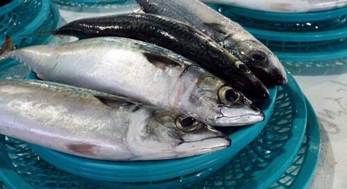 Surto de doença ligada ao consumo de peixe é investigado em 2 estados