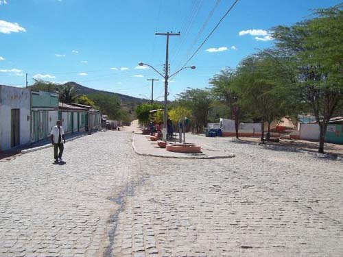 Preso filho que matou pais e enterrou corpos em cova rasa no quintal de casa