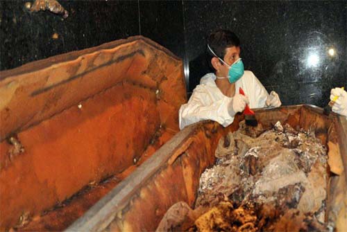 Cientistas brasileiros exumam restos mortais de D. Pedro I e suas mulheres