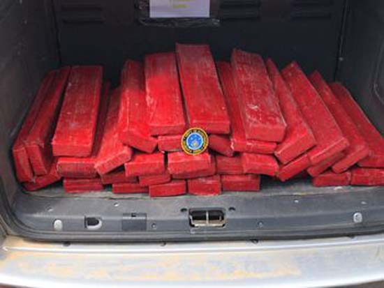 Polícia apreende mais de 70kg de droga trazida de Petrolina para ser distribuída em Maceió