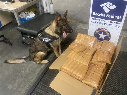 Receita apreende 97 kg de skunk no Aeroporto de Manaus; funcionário de empresa aérea é alvo de investigação