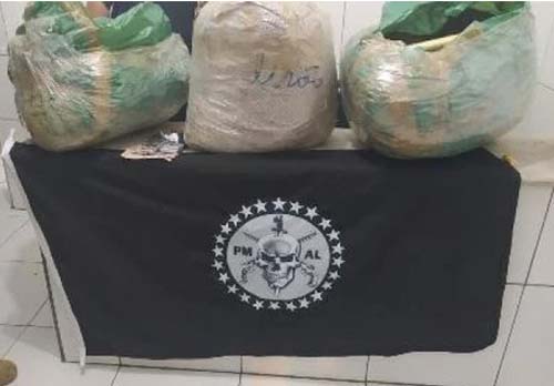 Com ajuda de cão farejador, polícia encontra 31 kg de maconha no Francês