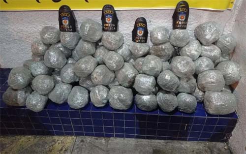 Polícia apreende 83,7 kg de maconha em imóvel no Jacintinho; proprietário fugiu do local