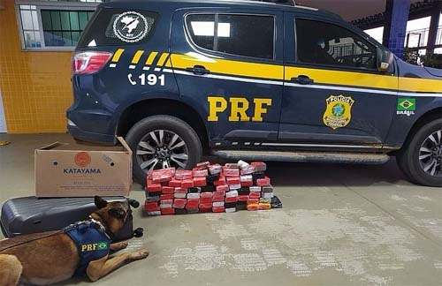 Homem é preso por transportar quase 57 kg de maconha em ônibus que vinha para AL