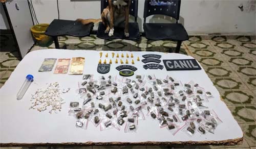 Homem é preso por tráfico após cão farejador localizar maconha, crack e cocaína em Arapiraca