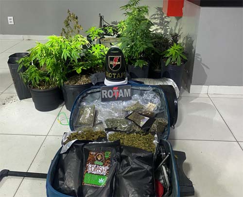 Operações da Polícia Militar de Alagoas resultam na apreensão de armas e drogas em uma semana