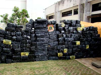 MS: PF acha 3,2 t de maconha, maior apreensão de drogas do ano