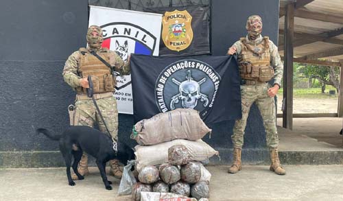 Polícia apreende quase 100 quilos de droga escondidos em sacos de farinha