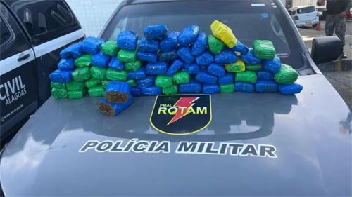 PMAL apreende 40kg de maconha em terreno na Cidade Universitária em ação da Rotam: droga estava embalada em tabletes.