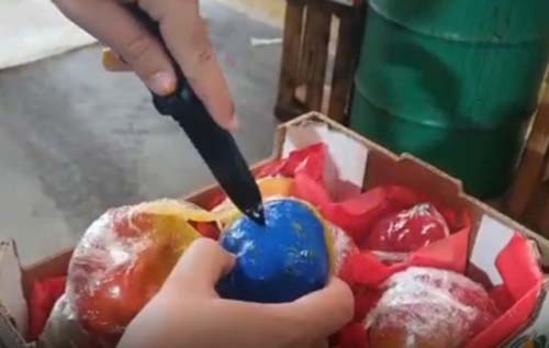 Cocaína era exportada do Brasil para Europa dentro de mangas