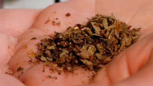 Por que PCC baniu drogas K de seus pontos de venda
