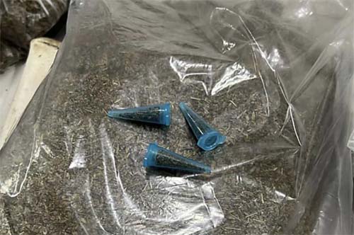 Número de mortes suspeitas por K9 sobe para sete em São Paulo