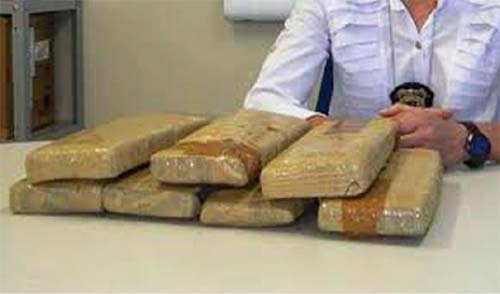 Dupla é detida com mais de 10 quilos de maconha e armas em Rio Largo